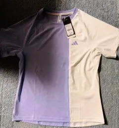 Item thumbnail for item dd6e3e65-bd93-428f-bd98-2c7d49b4a925