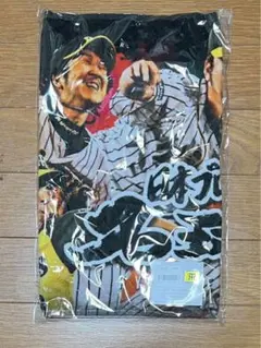 Item thumbnail for item 36cd165b-2e0e-4702-b92d-490d3d56c32c