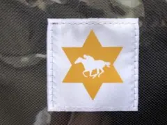 JRA 顕彰馬オリジナルデザインブランケット