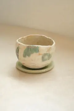石木花 鉢 2L 受け皿付き