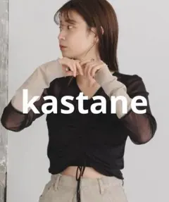 kastane ブラック 袖配色シアープルオーバーのサムネイル