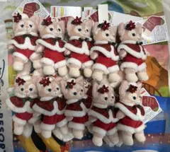 ダッフィー　クリスマス2024 リーナベル　ぬいぐるみバッジ　10個セット