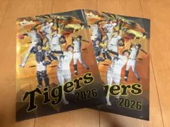 非売品】阪神タイガース 甲子園球場来場記念グッズ2026 クリアファイル