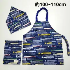 Item thumbnail for item 92255803-0262-4abc-93c0-e0d1371d762d