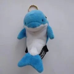 新品　未使用　タグ付き　ぬいぐるみ　みいるか Amazon | みいるか ゆるいるか ぷちぬいぐるみ(再販) × 全4種