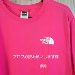THE NORTH FACE ピンク Tシャツ メンズのM