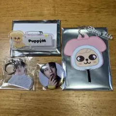 2025年最新】stray kids スンミンの人気アイテム - メルカリ