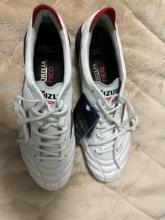 Mizuno Morelia Neo 4 Japan 27.0cm