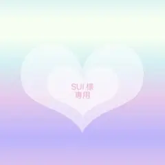 SUI様 リクエスト 2点 まとめ商品