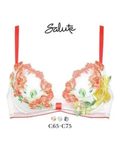 Salute 11G ブラジャーショーツセット C65