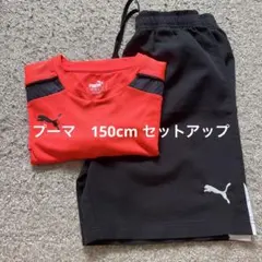 プーマ　150cm 半袖セットアップ