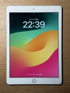 美品 iPad 第6世代 128GB Wi-Fi シルバー A1893