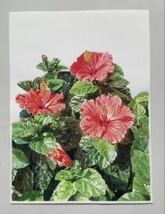 作者不詳 油彩画 ハイビスカスと波の絵画 荒波 額装 真作 美術品