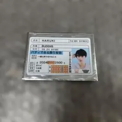 EBiDAN BUDDiiS HARUKI 推し免許証