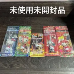 【未使用未開封】ご当地ハローキティ×T.M.Revolution コラボ セット