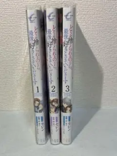 どうせ捨てられるのなら、最後に好きにさせていただきます。　1-3