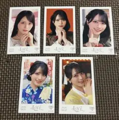 LOVE 佐々木舞香 ミニフォト 2026 Vol.11 コンプ 5枚セット - メルカリ