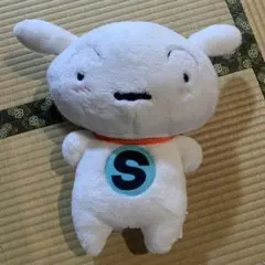 クレヨンしんちゃん　シロ　ぬいぐるみ　新品