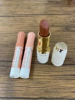 プチプラ リップ まとめ売り