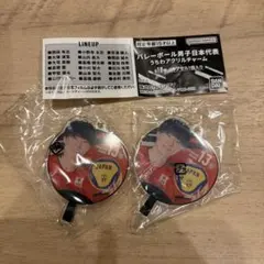 【小川智大選手 2個】バレーボール男子日本代表 うちわアクリルチャーム ガチャ