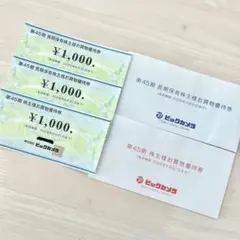 ビックカメラ 株主優待券 3000円分