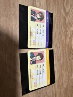 涼宮ハルヒの憂鬱 学生証 2枚セット 古泉一樹 キョン