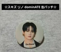2026年最新】straykids リノ 缶バッジの人気アイテム - メルカリ