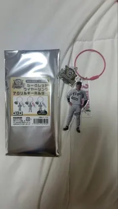 阪神タイガース シークレットワイヤーリングアクリルキーホルダー　梅野