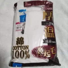 Item thumbnail for item f8e12952-50d4-4dc7-8423-390ed8979a1b