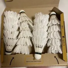 Item thumbnail for item f5b9dac3-622e-4165-bc99-e2d3030f8bb7