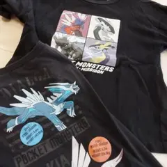 ポケットモンスター コライドン・ミライドン Tシャツ　130