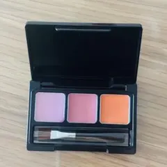 COVERMARK ESSENCE LIP PALETTE 限定品
