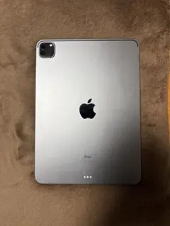 iPad Pro 11インチ 第2世代 256GB ※ランナー様※専用 iPad Pro 11インチ 第2世代 256GB ※ランナー様※専用 - メルカリ