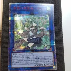 早い者勝ち！遊戯王 【良品】蒼翠の風霊使いウィン 20thシークレットレア 蒼翠の風霊使いウィン 20thシークレットレア」の激安通販 | magi