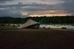 2025年最新】ゼインアーツ ウータの人気アイテム - メルカリ