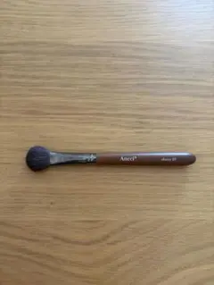 안시 브러쉬 에보니05