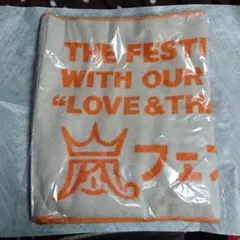 Item thumbnail for item b4d16ae1-f2b8-4a13-a4a6-cc588170e5c1