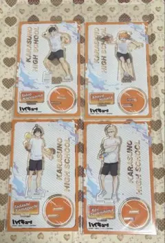 ハイキュー　水遊び　烏野