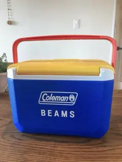 bPr BEAMS＞ オリジナル トランクカーゴ 50L - メルカリ