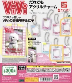 ViVi だれでもアクリルチャーム　2点セット