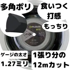 【3張×12m】エクスプロッシブバイトEXPLOSIVEBITE127ダンロップ