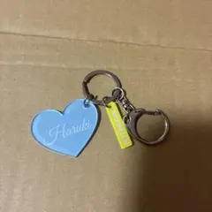BUDDiiS HARUKI 岩尾春輝　ぬいぐるみ BUDDiiS HARUKI 岩尾春輝 グッズ