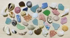 【310】シーグラス シー陶器 貝殻 二枚貝 一枚貝 サンゴ かけら セット