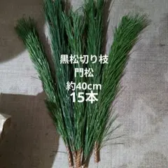 Item thumbnail for item 9ceb1f7b-8b7d-4ac6-b6d7-29017caf3875