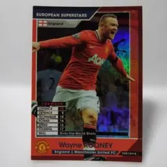 EUS　ウェイン・ルーニー　オーバーザワールド　マンU　WCCF　PANINI