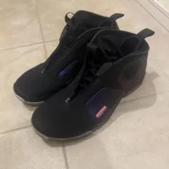 ナイキ　スニーカー　Nike AIR FLIGHTPOSITE 2