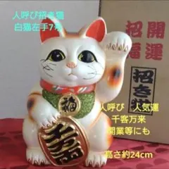 九谷焼 昭和レトロ 商売繁盛 金運 財運 招き猫 右手 ペアセット 縁起物