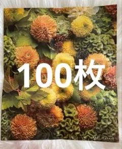 Item thumbnail for item f34c3818-49b9-4cc8-b524-74d63fc9701c