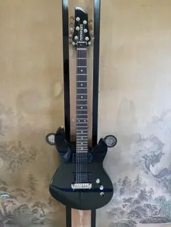 2025年最新】fernandes apgの人気アイテム - メルカリ