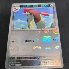 2026年最新】ピジョット マスターボールの人気アイテム - メルカリ